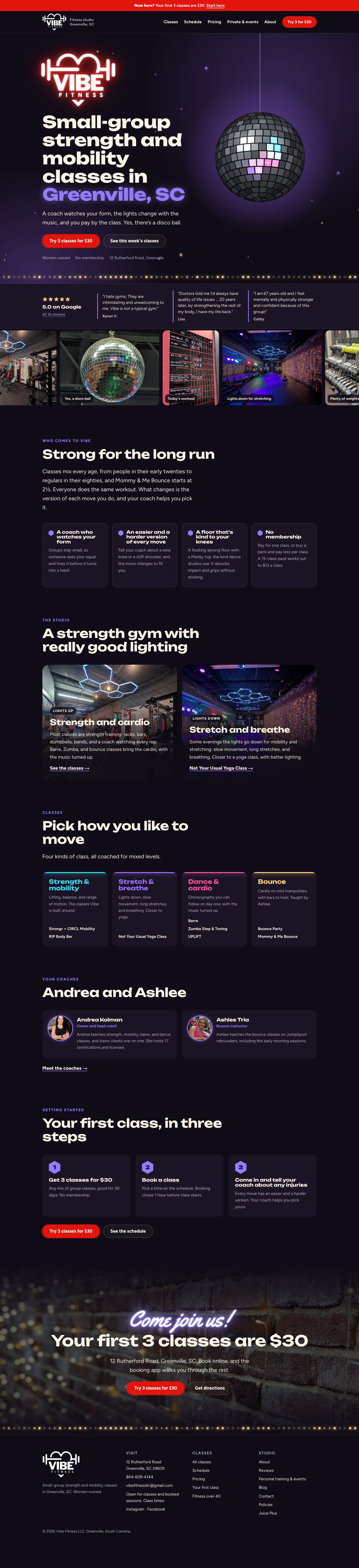 Vibe Fitness website, the new site, full page