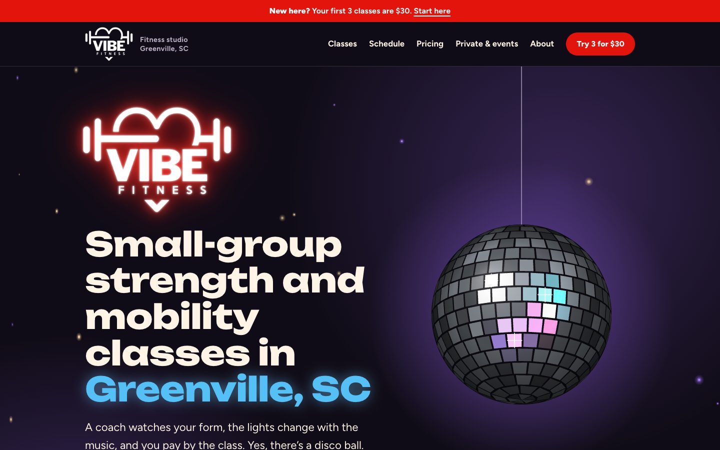 Vibe Fitness website, after