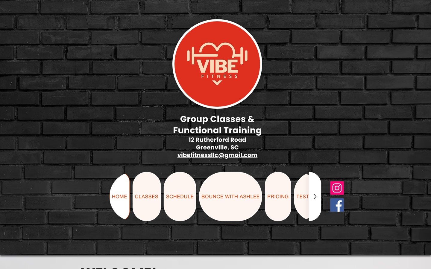 Vibe Fitness website, before